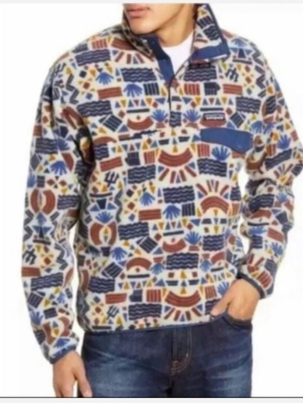 Rare Patagonia Synchilla Men's Snap-T Pullover Protected Peaks Size Large *Flaws
